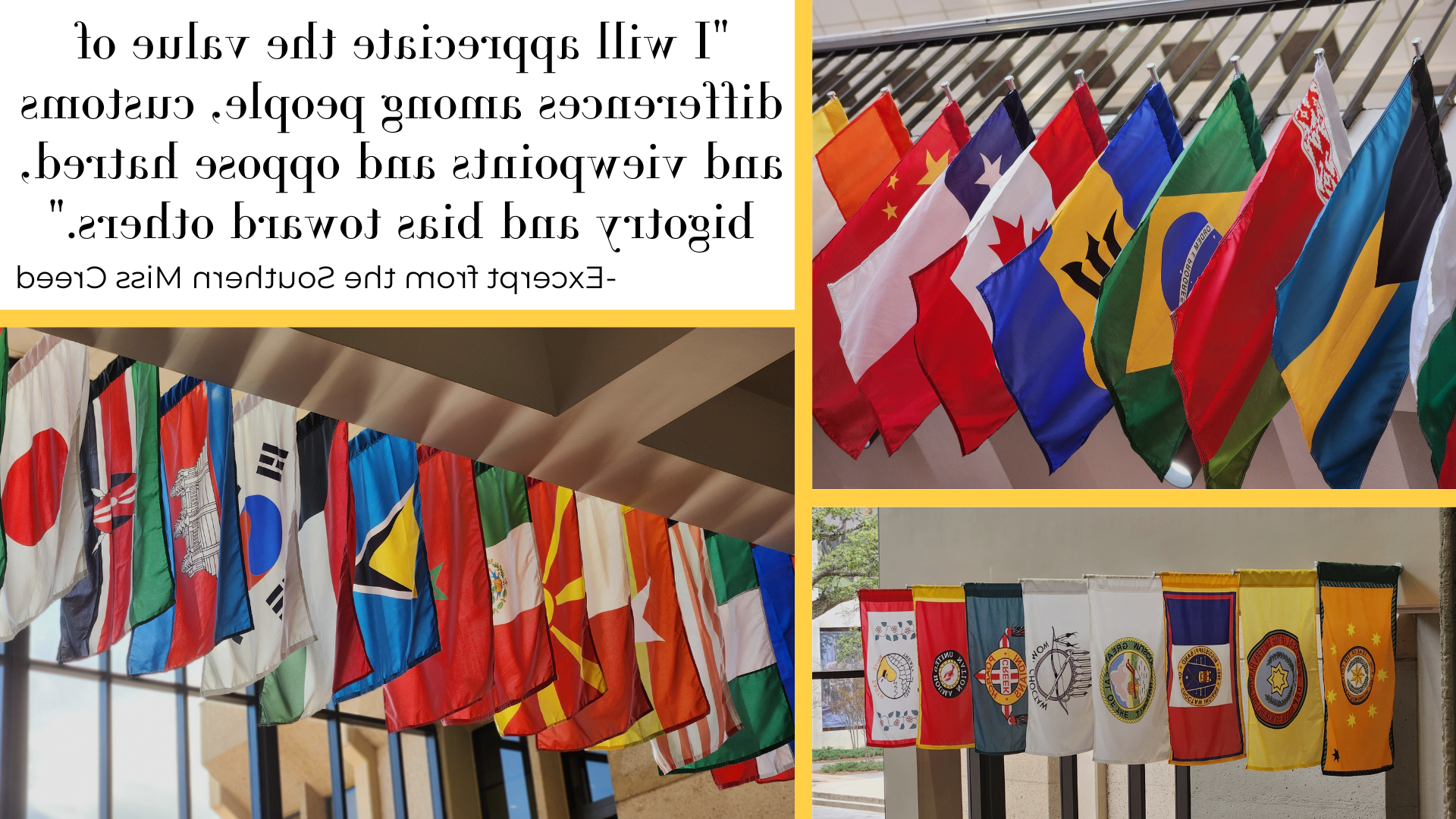 international flag displays